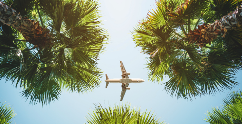 Flying High: Tips For A Smooth Air Travel Experience