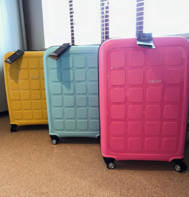 The Perfect Travel Companion For Every Traveller